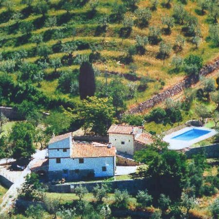 Agriturismo Montereggi فيسولي الغرفة الصورة
